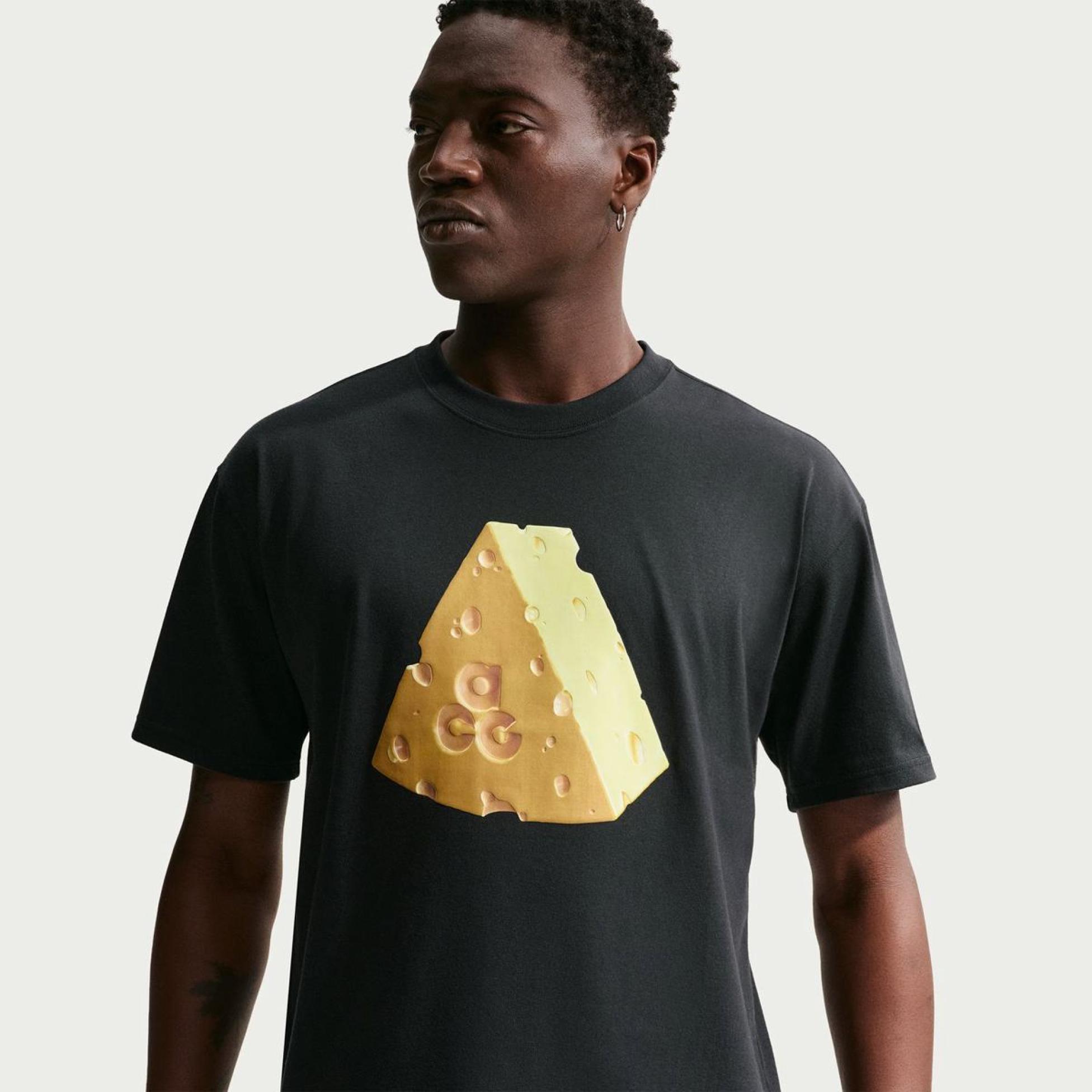 Чоловіча футболка NIKE M ACG DF TEE LSE CAMP ACHEESEG IH1316-010