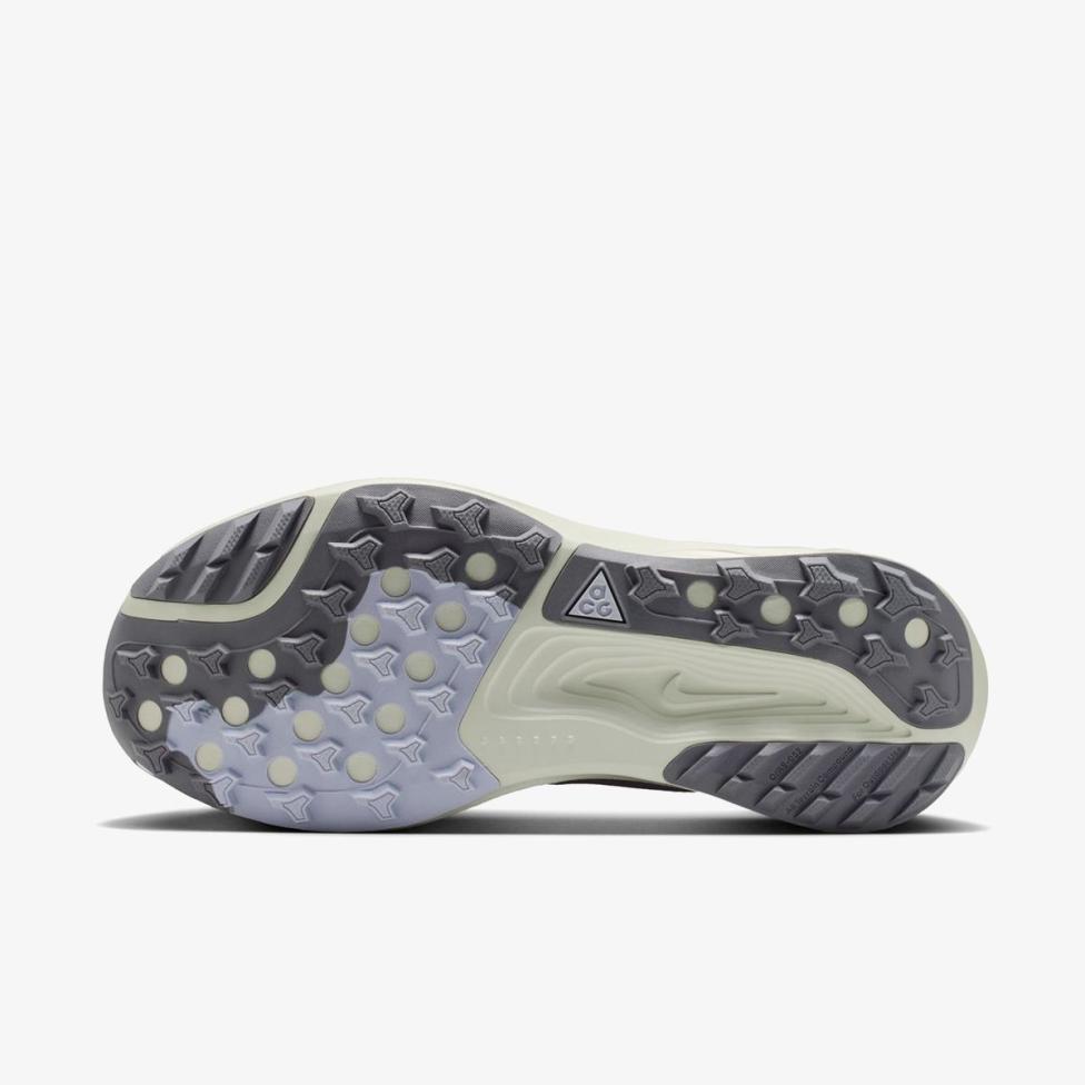 Жіночі кросівки NIKE W ACG PEGASUS TRAIL HV8121-003