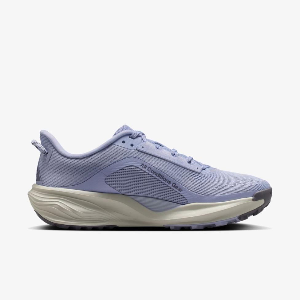 Жіночі кросівки NIKE W ACG PEGASUS TRAIL HV8121-003_image_3