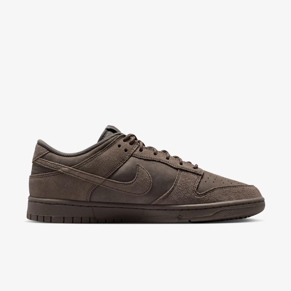 Чоловічі кросівки NIKE DUNK LOW RETRO SE IB6651-200_image_3