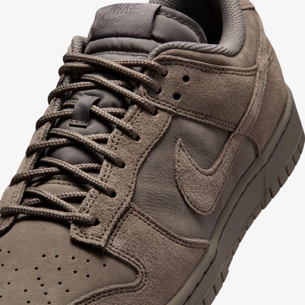 Чоловічі кросівки NIKE DUNK LOW RETRO SE IB6651-200_image_7