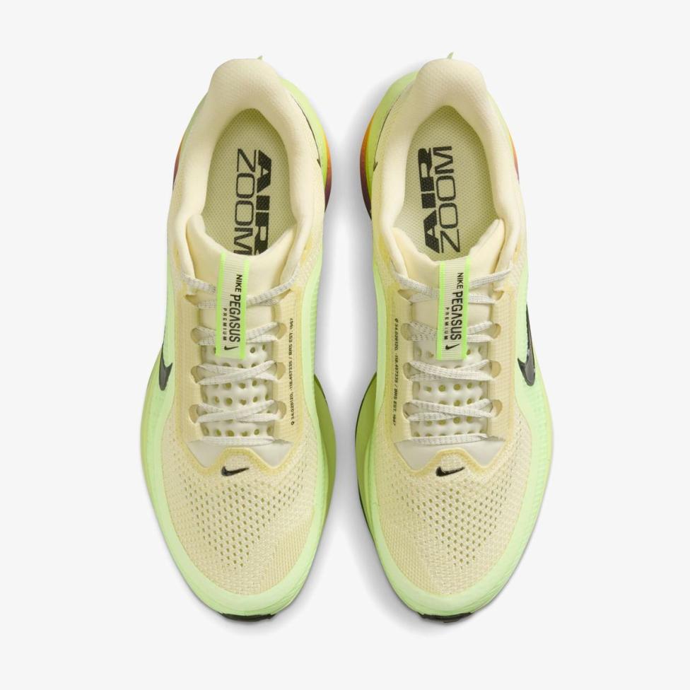 Чоловічі кросівки NIKE PEGASUS PREMIUM HQ2592-701_image_4