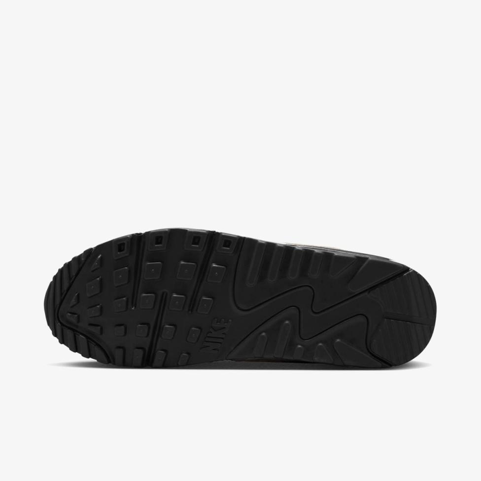 Жіночі кросівки NIKE WMNS AIR MAX 90 IM3110-101