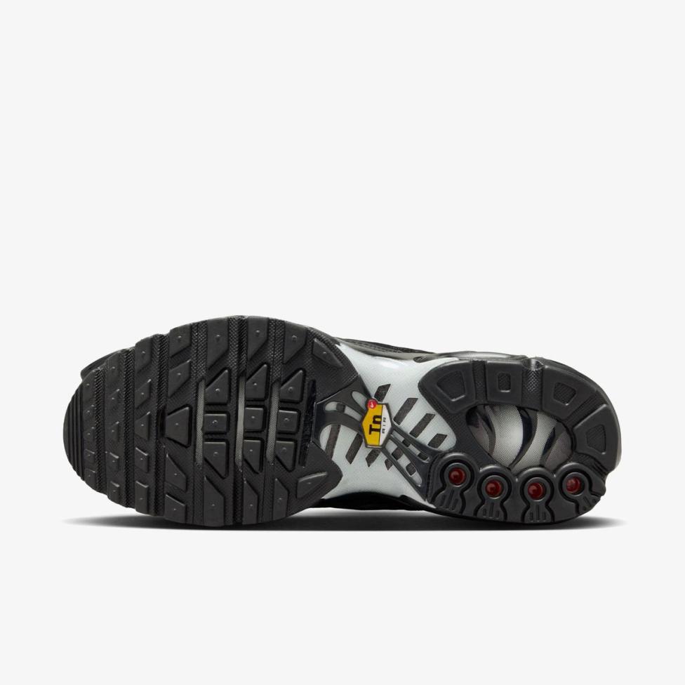 Жіночі кросівки NIKE AIR MAX PLUS FV1169-001