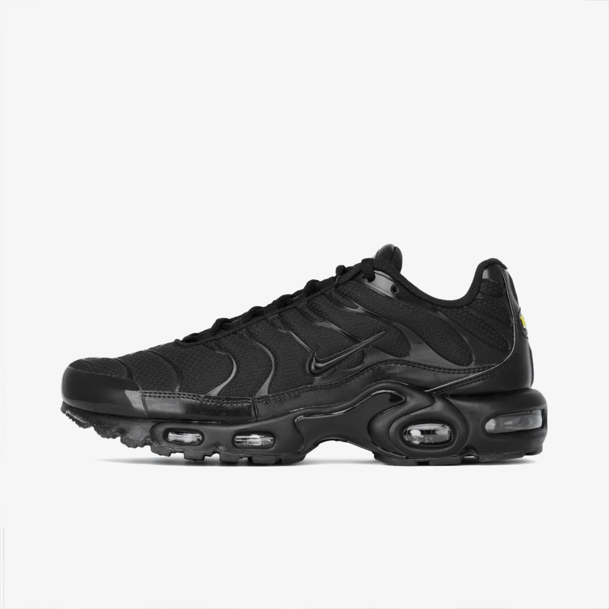 Мужские кроссовки Nike AIR MAX PLUS 604133-050