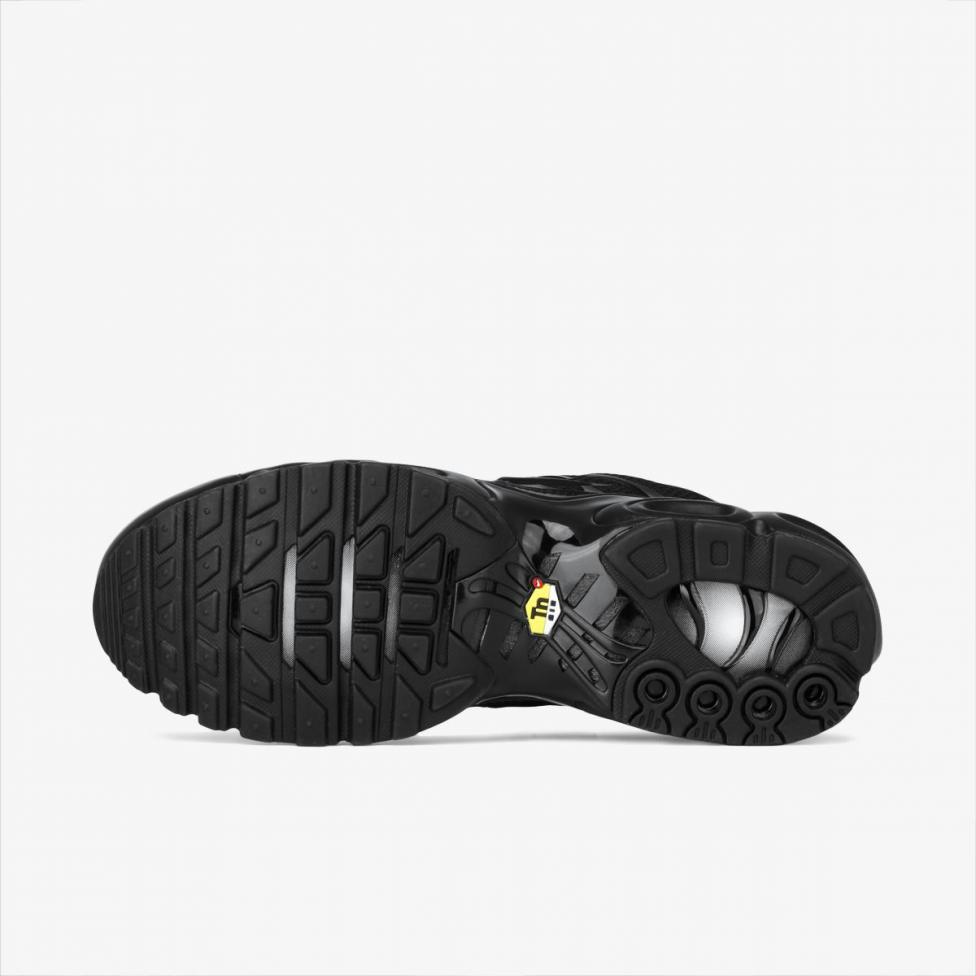 Мужские кроссовки Nike AIR MAX PLUS 604133-050