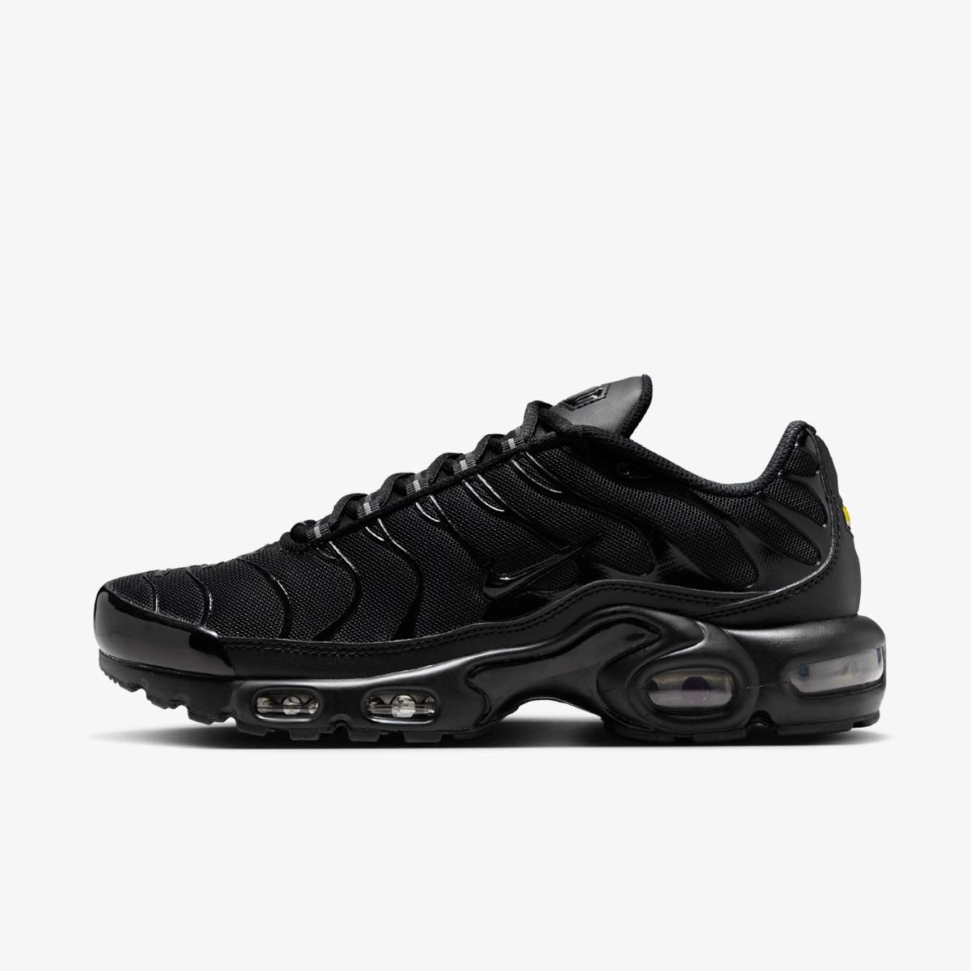 Жіночі кросівки NIKE WMNS AIR MAX PLUS DM2362-002