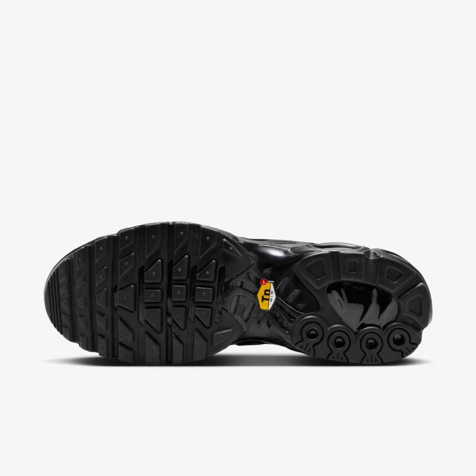 Жіночі кросівки NIKE WMNS AIR MAX PLUS DM2362-002