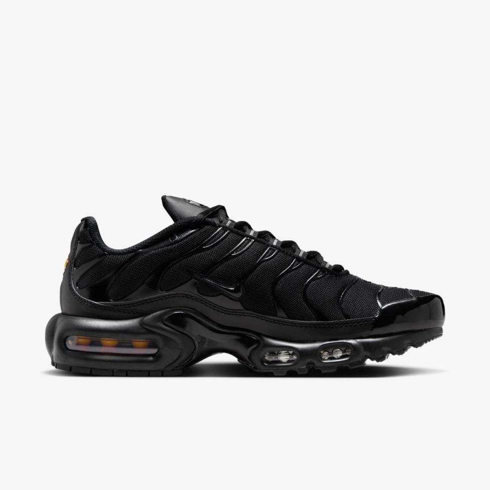 Жіночі кросівки NIKE WMNS AIR MAX PLUS DM2362-002_image_3