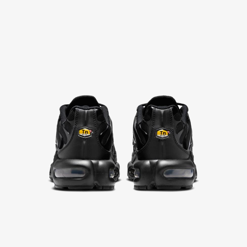 Жіночі кросівки NIKE WMNS AIR MAX PLUS DM2362-002_image_6