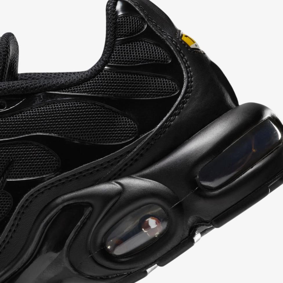 Жіночі кросівки NIKE WMNS AIR MAX PLUS DM2362-002_image_8