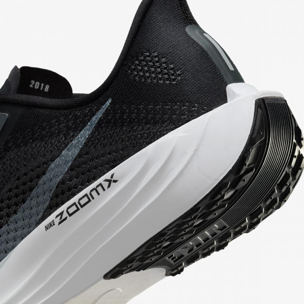 Чоловічі кросівки NIKE PEGASUS PLUS FQ7262-002_image_8