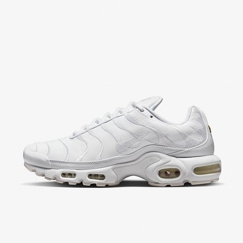 Чоловічі кросівки Nike Air Max Plus AJ2029-100