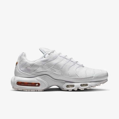 Чоловічі кросівки Nike Air Max Plus AJ2029-100