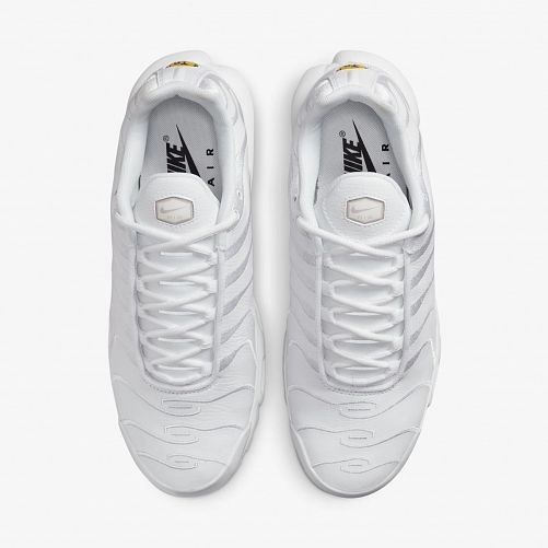 Чоловічі кросівки Nike Air Max Plus AJ2029-100_image_5
