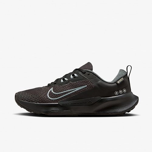 Кросівки Nike Wmns Juniper Trail 2 Gtx FB2065-001