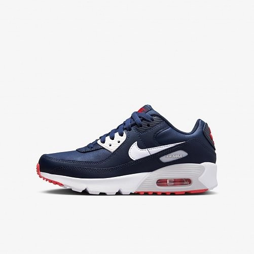 Кросівки Nike Air Max 90 Ltr Gs DV3607-400