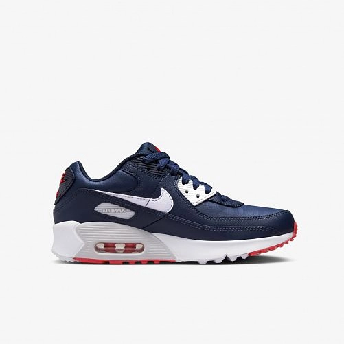 Кросівки Nike Air Max 90 Ltr Gs DV3607-400