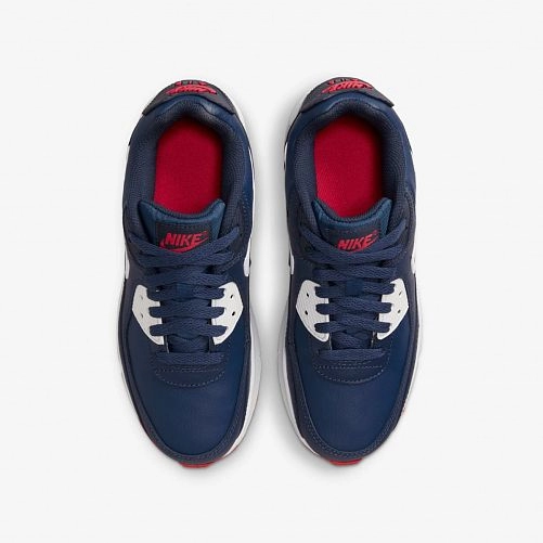 Кросівки Nike Air Max 90 Ltr Gs DV3607-400_image_4