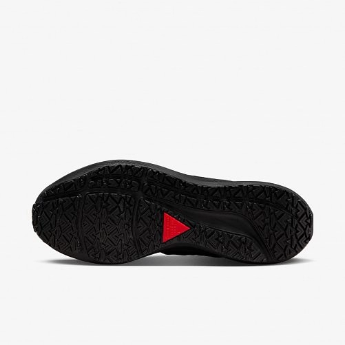 Кросівки Nike Air Zoom Pegasus 39 Shield Do7626-001_image_5