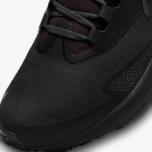 Кросівки Nike Air Zoom Pegasus 39 Shield Do7626-001_image_9