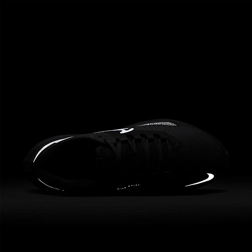 Кросівки Nike Air Zoom Pegasus 39 Shield Do7626-001_image_6