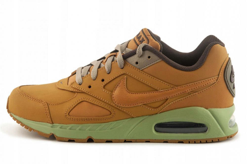 Кросівки Nike Air Max Ivo CD1534-700
