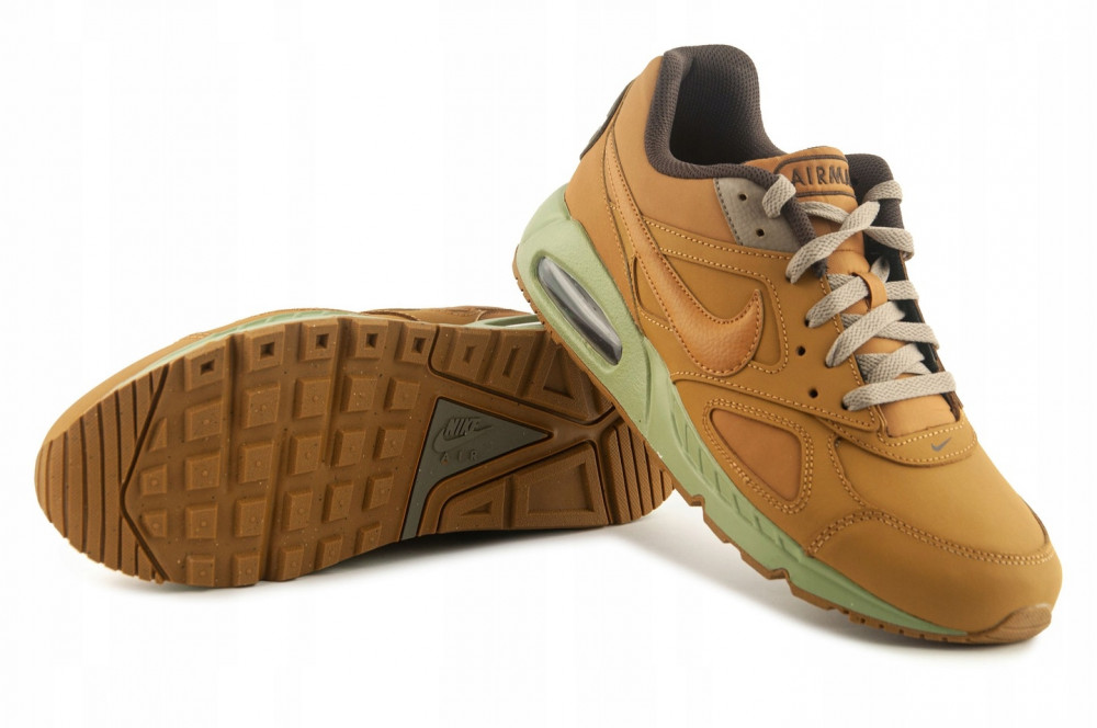Кросівки Nike Air Max Ivo CD1534-700