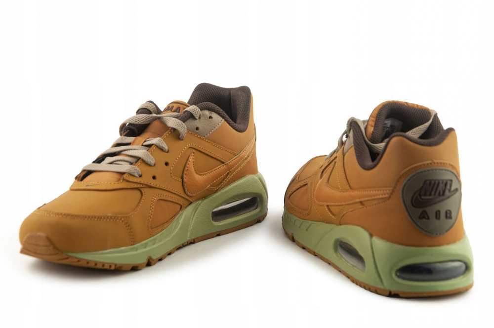 Кросівки Nike Air Max Ivo CD1534-700_image_3